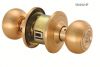 HGJ5011 golden roundness door lock , manufacturers price