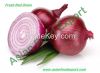 Fresh Red Onion