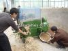 The rice threshing machine