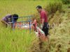 Rice Combine Harvester Machine