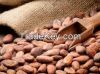 peru high  quality cocoa