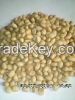 Soybean Seeds