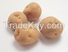 Vietnamse potato new c...