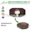 100% natural gynostemma extract /Gypenoside 30%-98%