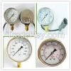 pressure gauge