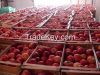 Traiding and export with FRESH FRUITS and FRESH VEGETABLES