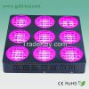 China secondary lens 600w led grow light for hydroponic growing system