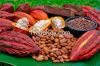 Organic Cocoa & Cocoa Products from Ecuador