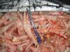 frozen chicken feet an...