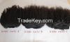 the best quality and competitive price mongolian kinky curly hair weft