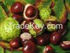 Horse chestnut extract