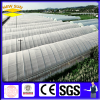 Greenhouse Anti Insect Screen