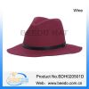2015 new fashion wool felt wide brim fedora hat for unisex