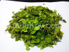 moringa Leaves