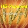 wheat