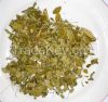 Organic Moringa oleifera