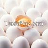 Fresh Chicken Eggs White and Brown Eggs