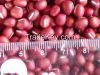 2014 new crop small small red bean / adzuki bean