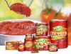 Canned tomato paste manufacturer