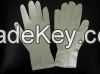 Latex Gloves  ( powder &amp; powder free )