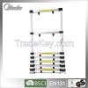 Telescopic Ladder with 3.2E