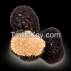 Black truffles Latin n...