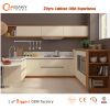 20 Years Cabinet/Wardrobe OEM Eco-friendly Acrylic Kitchen Cabinet Euro Hot Home Appliances