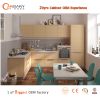 20 Years Cabinet/Wardrobe OEM Eco-friendly Acrylic Kitchen Cabinet Euro Hot Home Appliances