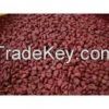 Organic Annatto Seeds / Achiote