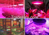 LED Grow light Made in China used greenhouse/plant factory