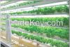 Alibaba Express Factory Promotion Led Grow Lights For Agriculture Plants UFO 50W LED Grow Light