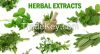 HERBAL EXTRACTS