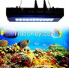 LED aquarium lighting ...