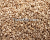 Sesame Seed