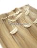 Top quality Clip-in human Hair Extensions with different Colors