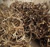 TOP GRADE NATURAL SHED WHOLE RED DEER ANTLERS - DEER ANTLERS