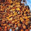 Grade A Cheap Price Cow Gall Stones / Ox Gallstones for Sale