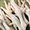 QUALITY  FROZEN CHICKEN PAWS / CHICKEN FEET AND PAWS AVAILABLE