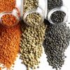 Pure organic lentils, Green chipped brownish yellow 