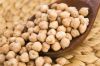 Premium Quality Grade-A Roasted Chickpeas Kabuli Chickpeas Available