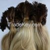 All Length Wholesale Remy U Tip Hair
