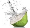 Mature and Young Coconut and Coco Shells, water, fiber and everything about coconut.