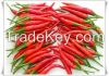 Small size red chili