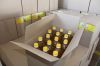 Sunflower oil from Ukr...
