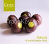 Gulupa ( Purple Passio...