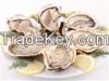 Oyster