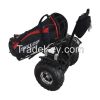 Golf version electric self-balancing scooter T3G