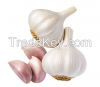 new crop fresh garlic ...