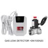 household gas detector...