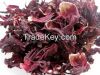 Dried Hibiscus Flower